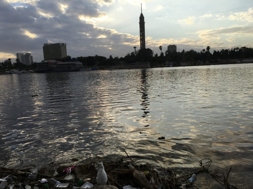 The Nile river banks and Cairo Tower