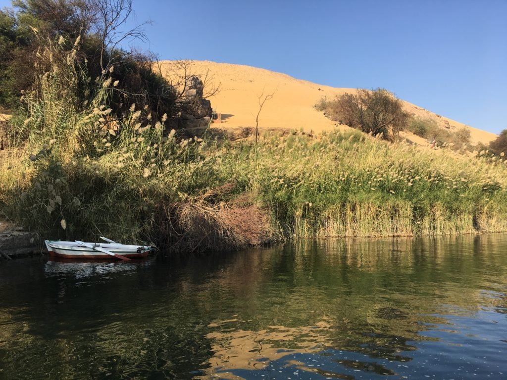 Lush vegetation on the Nile's bank