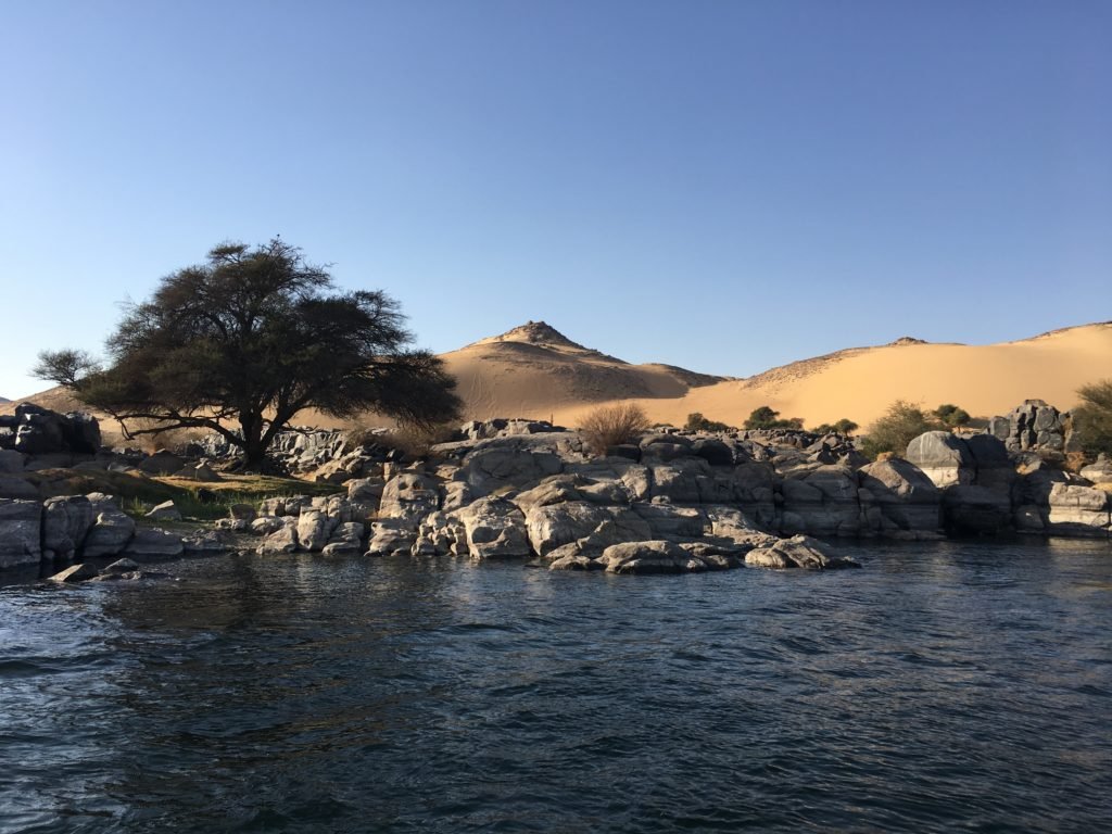 Acacia tree on the rocky shores of the Nile